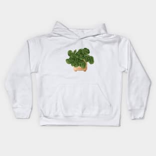 Lemon Lime Prayer Plant - Maranta 3 Kids Hoodie